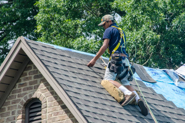 Best Shingle Roofing Installation  in Stockton, UT
